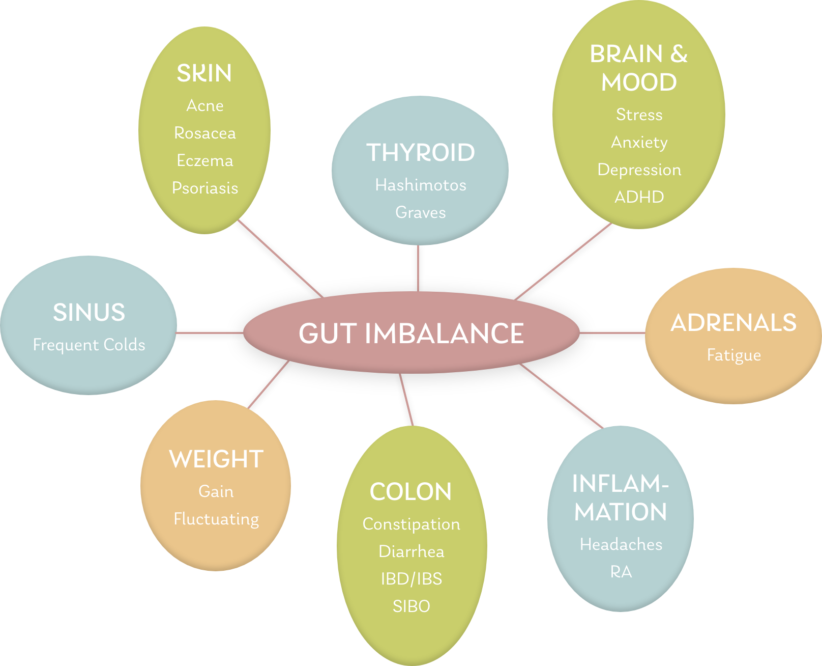 Gut Imbalance Infographic